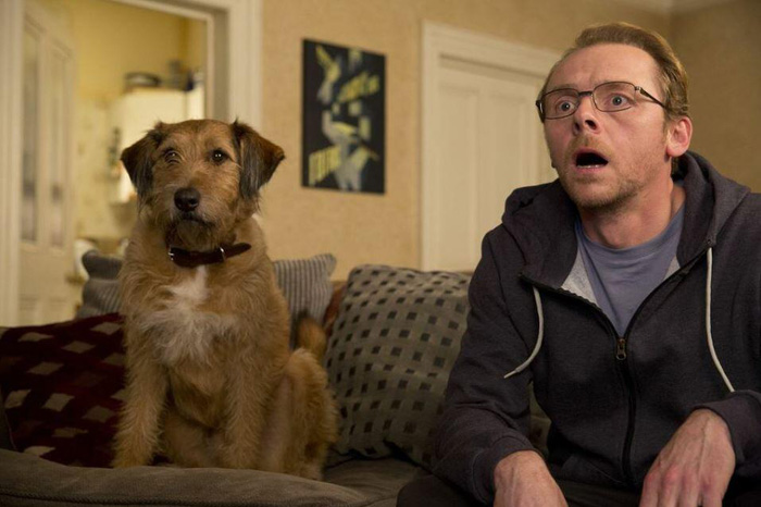 �� ����, �����. 