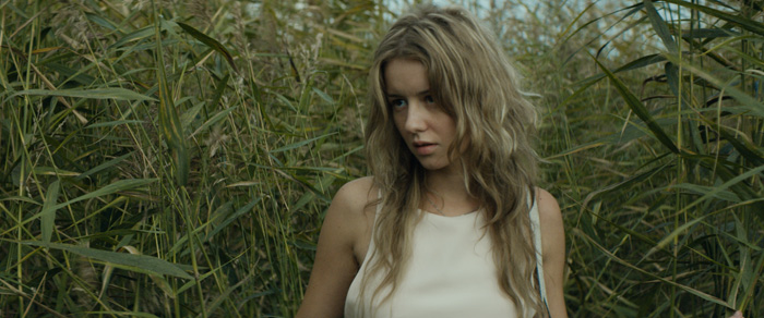 ׸���� ����, �����.  �������� � ������: 1��������� � ������: 1