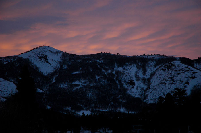 ��������, �����.  �������� � ������: 1��������� � ������: 1