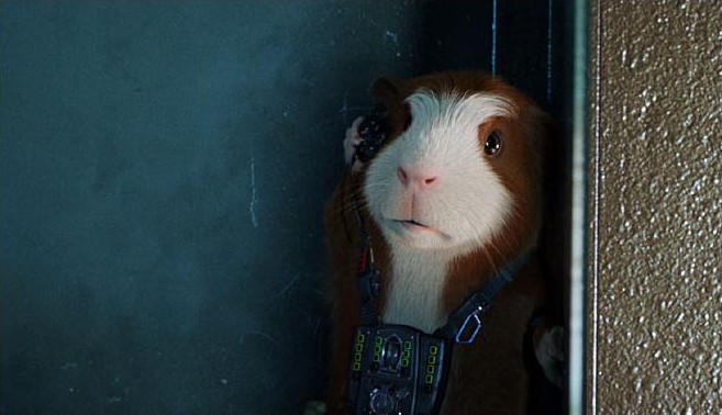 ������ �������, �����. 