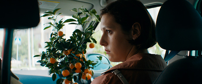 ������� �����, �����.  �������� � ������: 1��������� � ������: 3