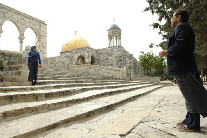 �����, �����.  �������� � ������: 5��������� � ������: 6