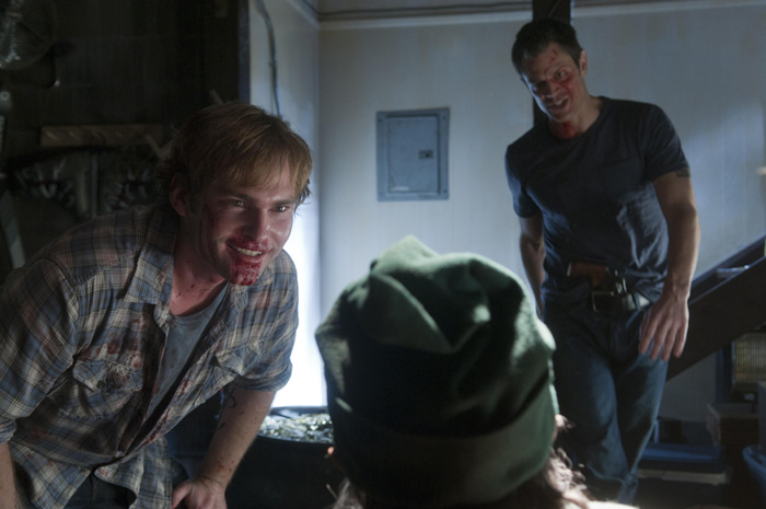 ����� 43, �����.  �� ����: ���� ������ ����� �������� � ������: 6��������� � ������: 13