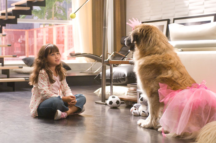 ��� ���� ��������, �����.  �������� � ������: 2��������� � ������: 3