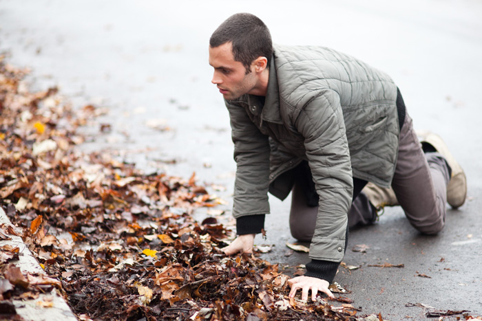 ���� ����������� ����, �����.  �� ����: ���� ������ �������� � ������: 2��������� � ������: 2