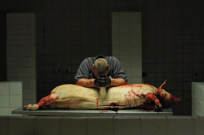 �������, ��������������, �����. 