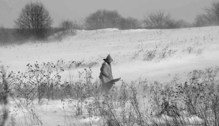 ����, �����.  �������� � ������: 1��������� � ������: 1