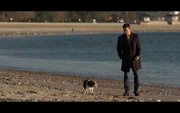 ���������� ��������, �����.  �� ����: ���� ������� �������� � ������: 1��������� � ������: 2