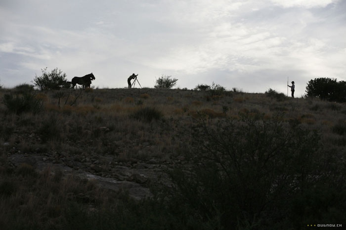 �����, ����� �����, �����.  �������� � ������: 3��������� � ������: 16