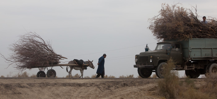 ��������. �������, ��� �����, �����.  �������� � ������: 5��������� � ������: 7