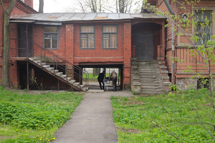 � ���� ����, �����.  �������� � ������: 2��������� � ������: 1